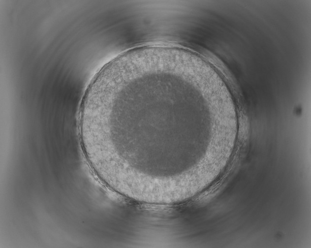 X0000114640856200912011047