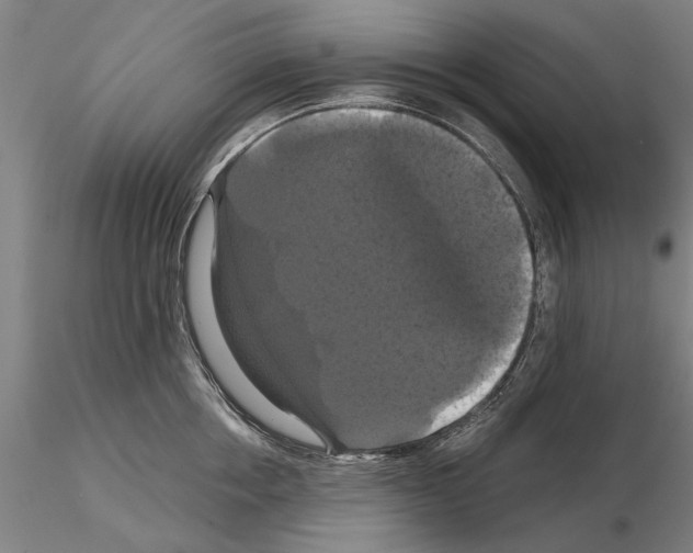 X0000114640858200912011047