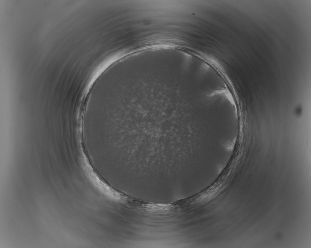 X0000114640859200912011047