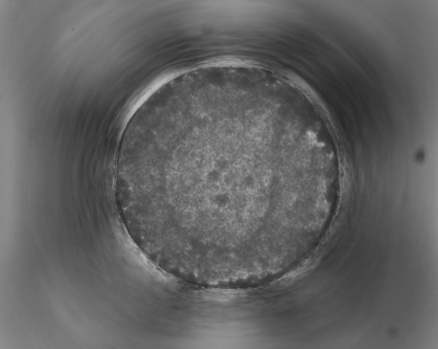 X0000114640860200912011047