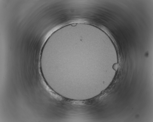 X0000114640861200912011047