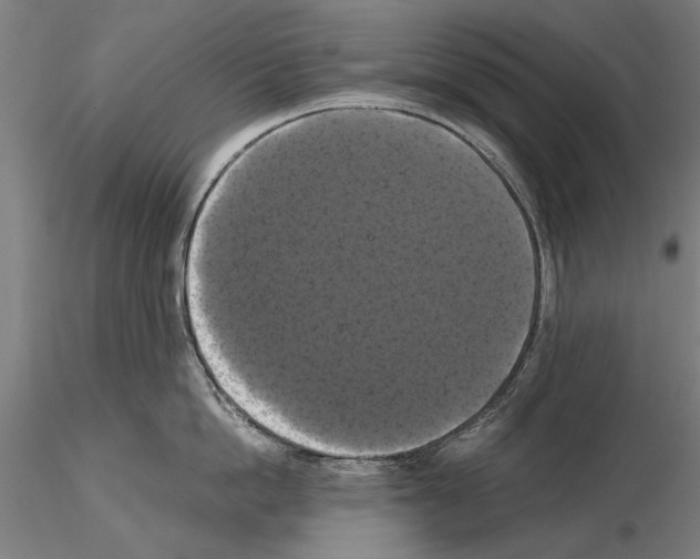 X0000114640862200912011047