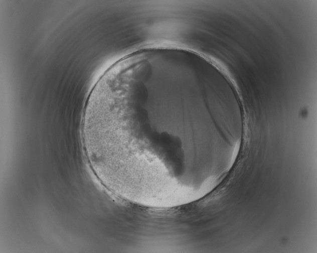 X0000114640863200912011047