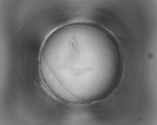 X0000114640864200912011047