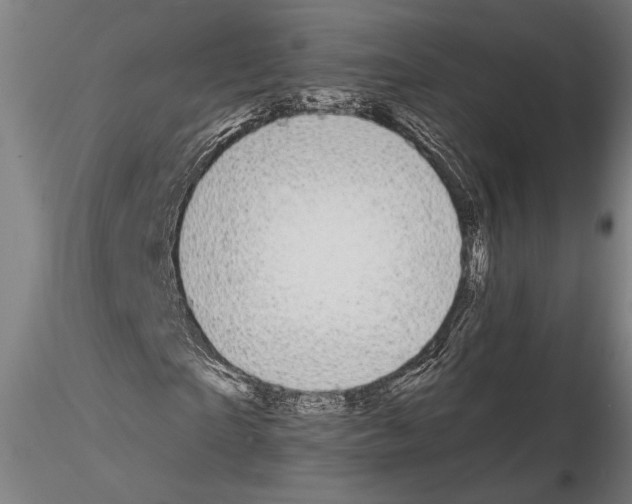 X0000114640865200912011046