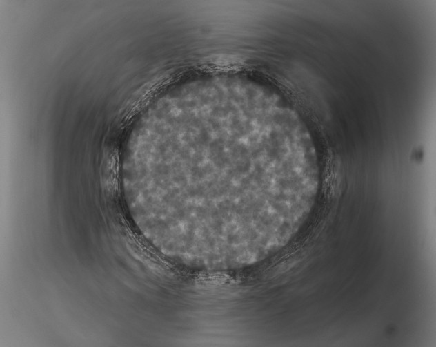 X0000114640866200912011046