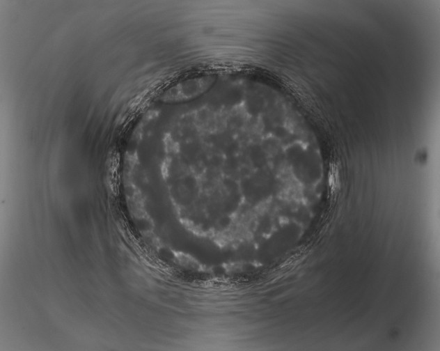 X0000114640867200912011046