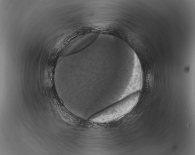 X0000114640868200912011046