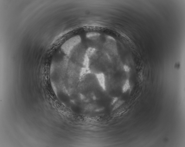 X0000114640870200912011046