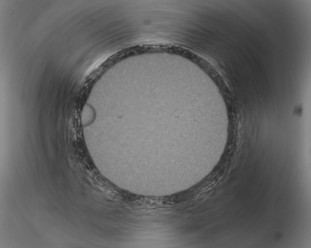 X0000114640871200912011046