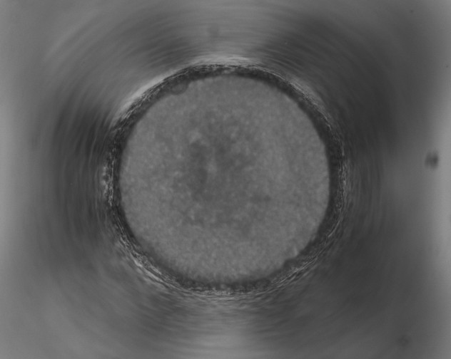 X0000114640872200912011046