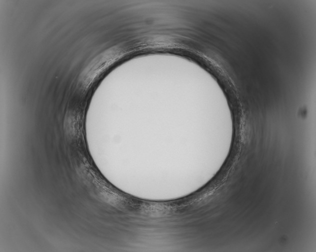 X0000114640873200912011046