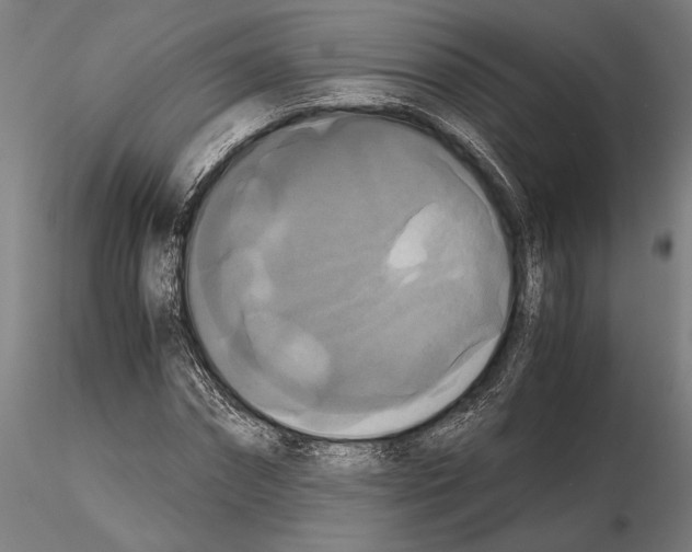 X0000114640874200912011046