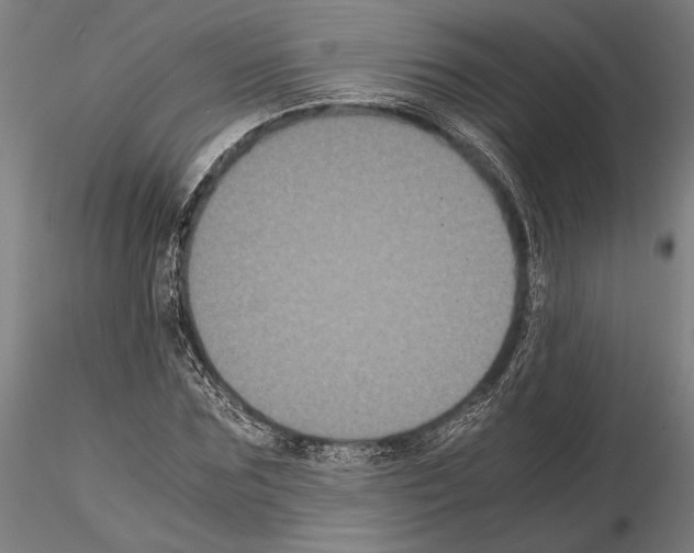 X0000114640875200912011046