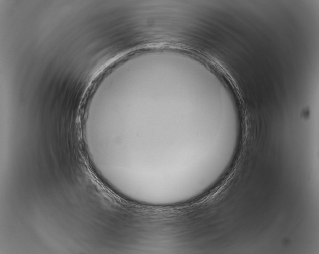 X0000114640876200912011046