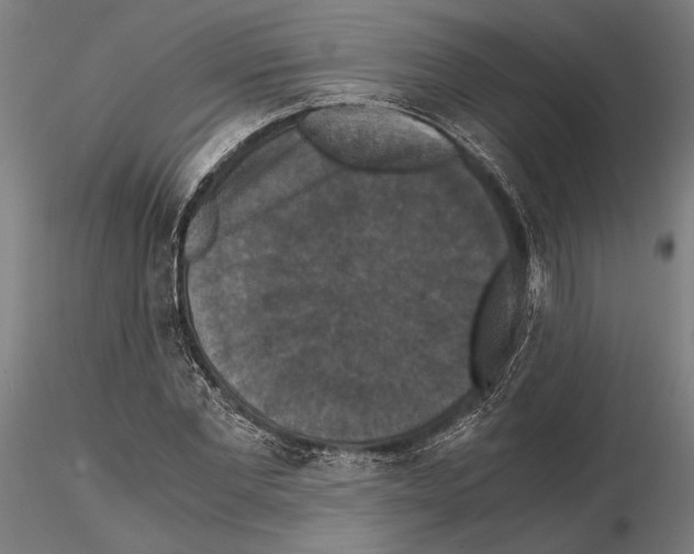 X0000114640877200912011046