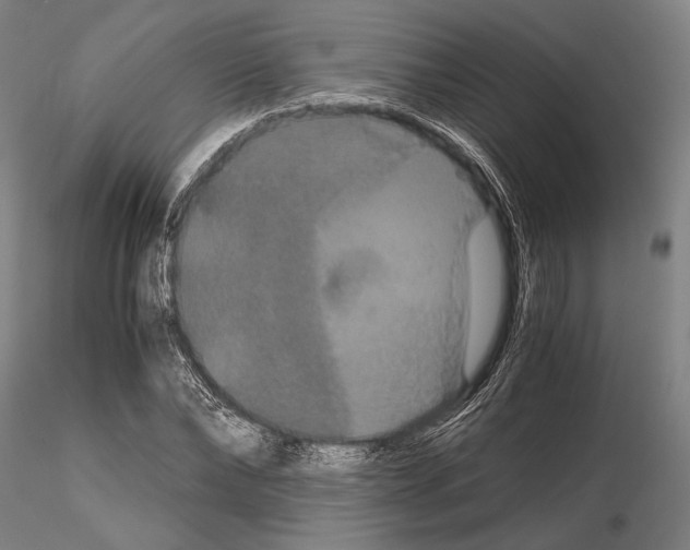 X0000114640878200912011046