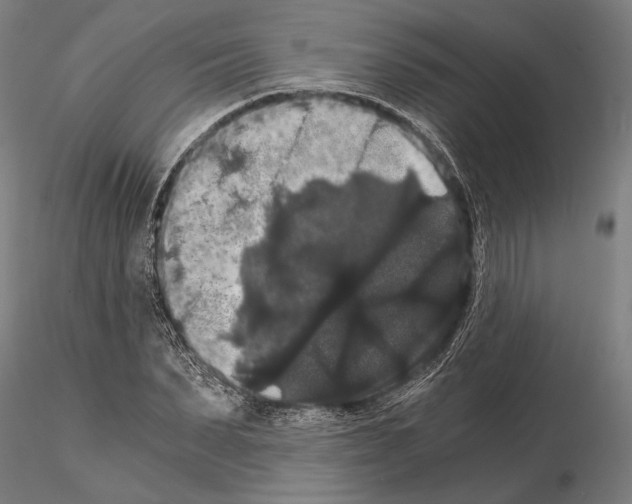 X0000114640879200912011046