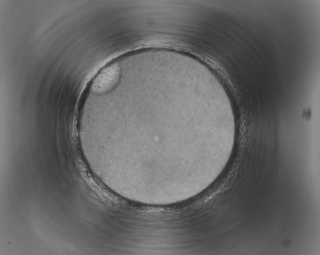 X0000114640880200912011046