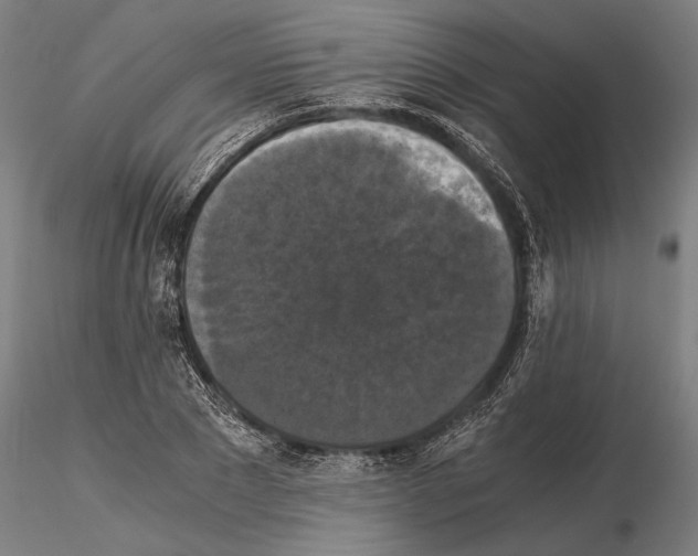 X0000114640881200912011046