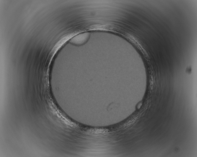 X0000114640884200912011046