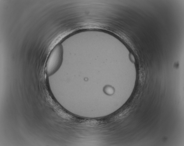 X0000114640885200912011046