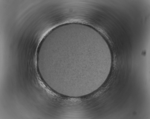 X0000114640888200912011046