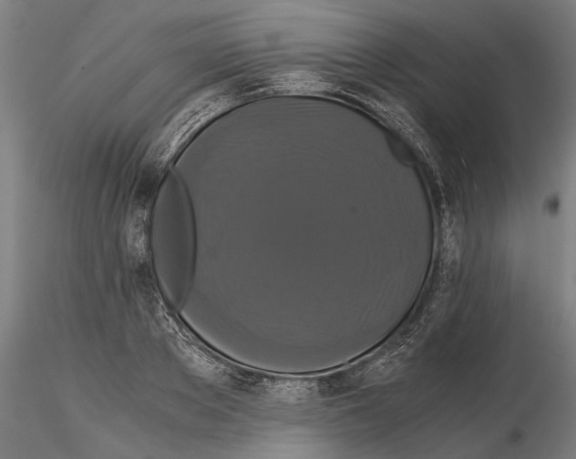 X0000114640889200912011046