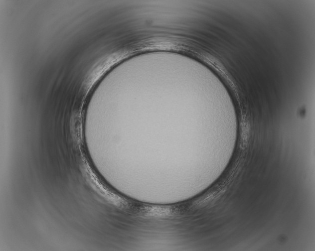 X0000114640890200912011046