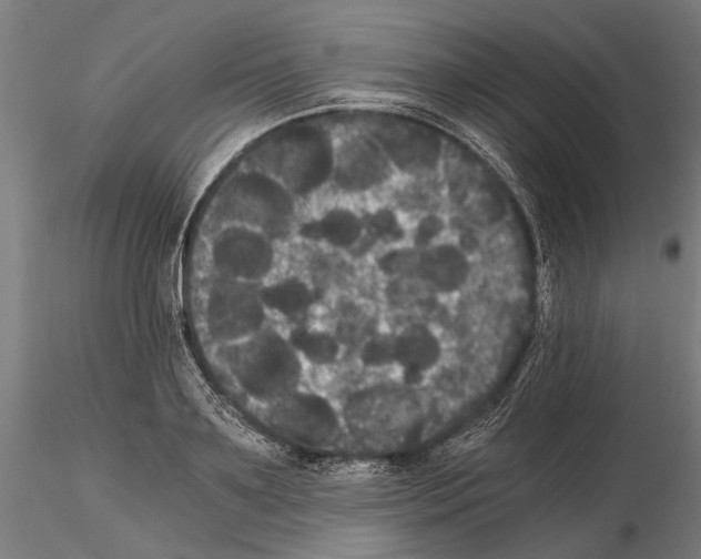 X0000114640891200912011046