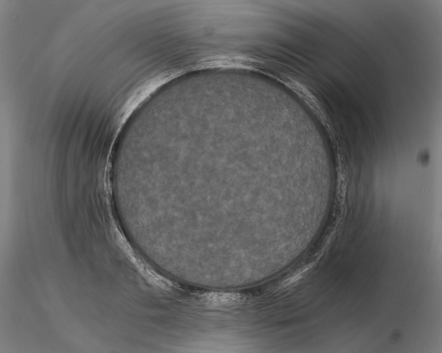 X0000114640893200912011046