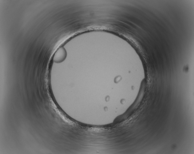 X0000114640894200912011046