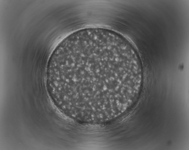 X0000114640895200912011046