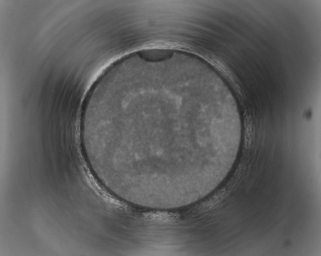 X0000114640896200912011046