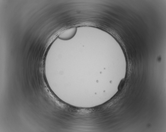 X0000114640898200912011046