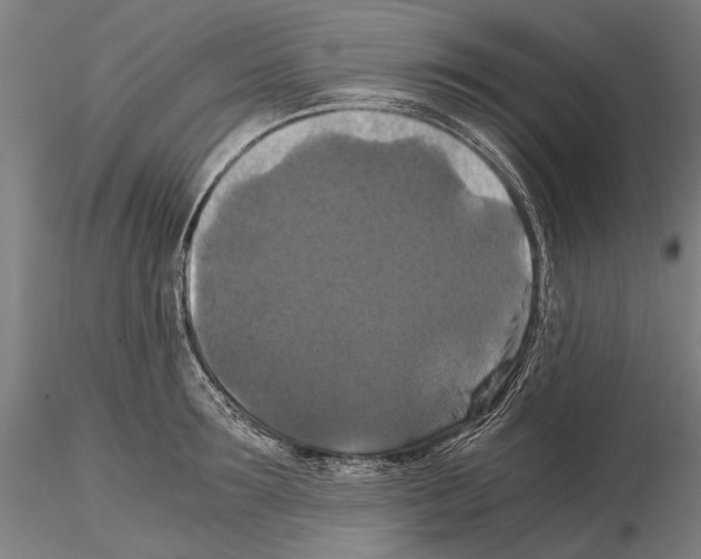 X0000114640899200912011046