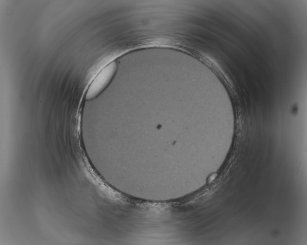 X0000114640900200912011046