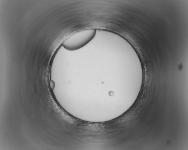 X0000114640901200912011046