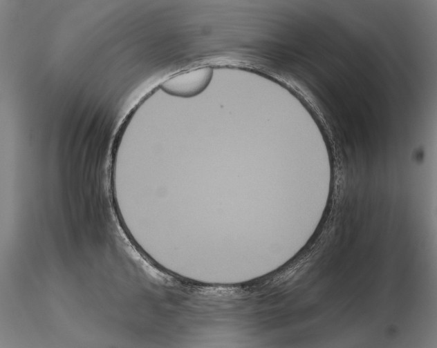 X0000114640902200912011046