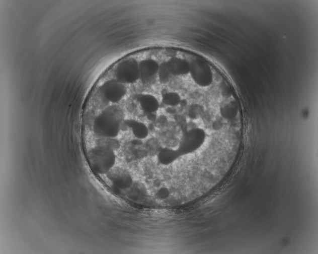 X0000114640903200912011046