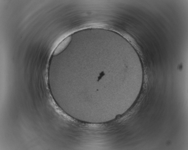 X0000114640904200912011046