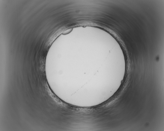 X0000114640905200912011046