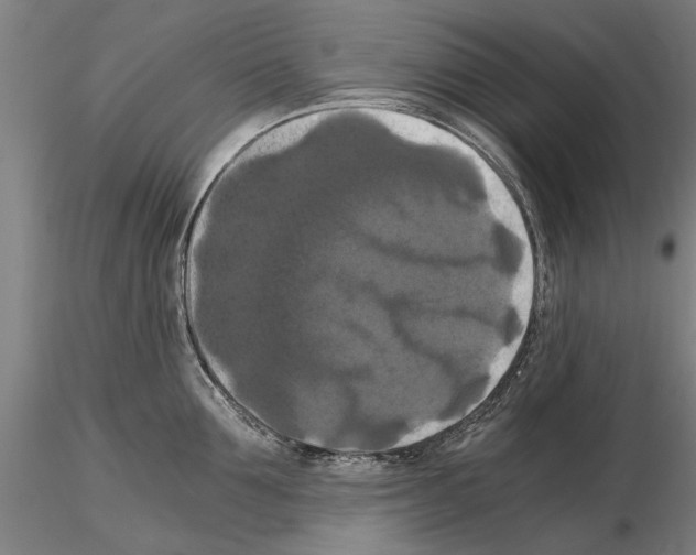 X0000114640907200912011046