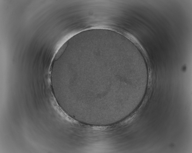 X0000114640908200912011046