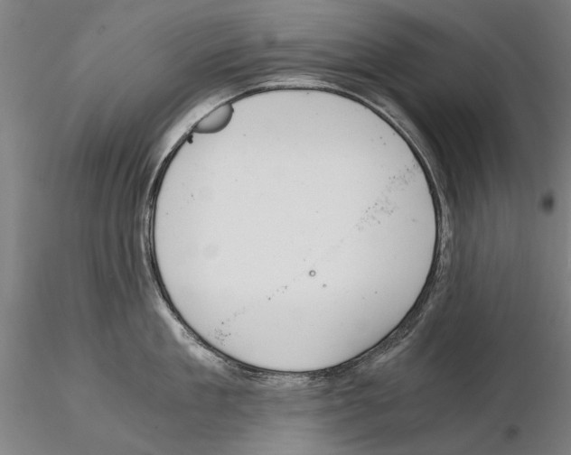 X0000114640909200912011046