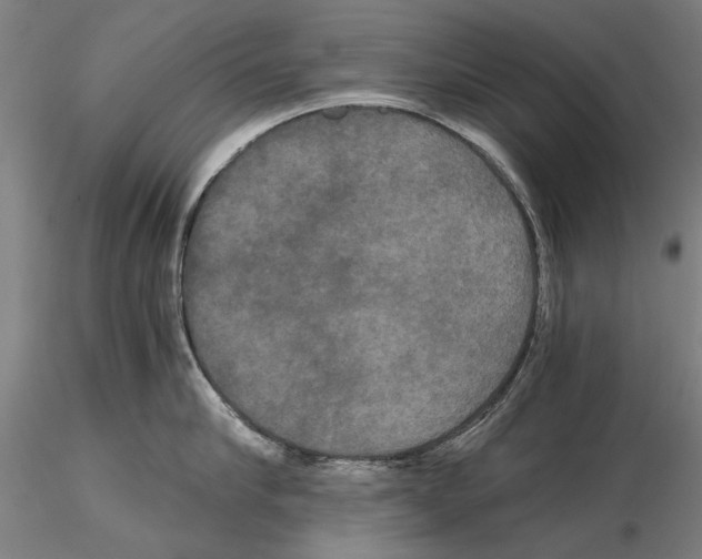 X0000114640910200912011046