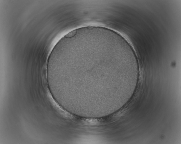 X0000114640911200912011046