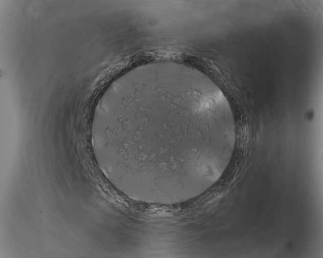 X0000114640913200912011045