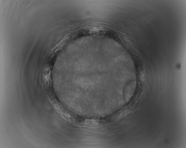 X0000114640914200912011045