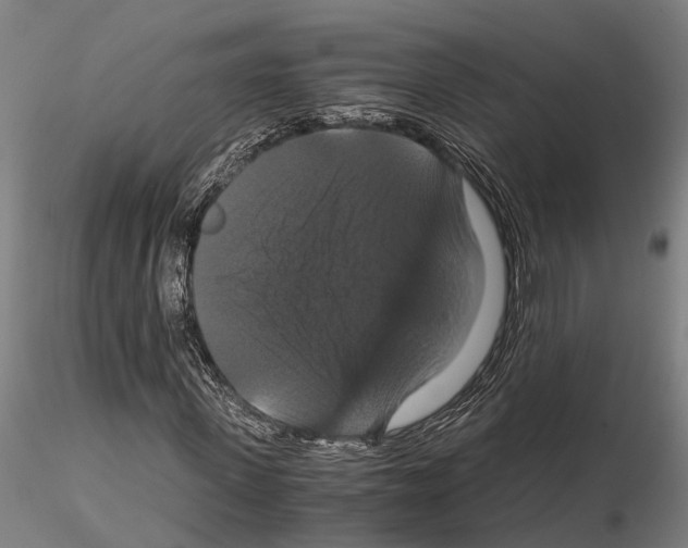 X0000114640915200912011045